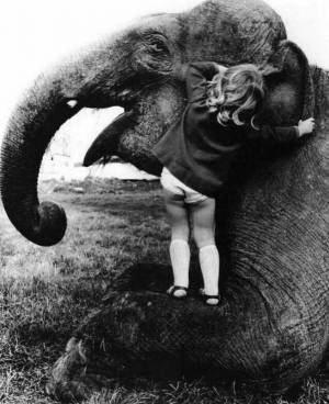 Раскраска слон и девочка #16 #498585