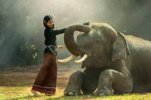 Раскраска слон и девочка #19 #498588