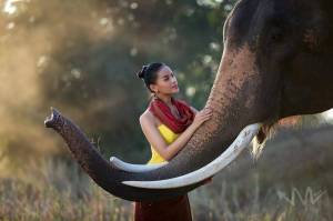 Раскраска слон и девочка #22 #498591