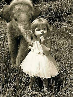 Раскраска слон и девочка #26 #498595