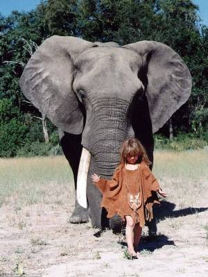 Раскраска слон и девочка #27 #498596