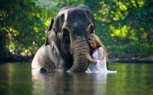 Раскраска слон и девочка #30 #498599