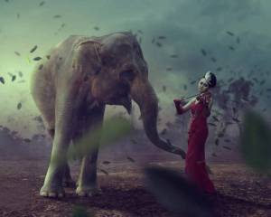 Раскраска слон и девочка #32 #498601