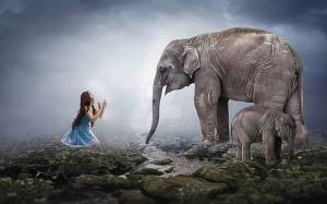 Раскраска слон и девочка #36 #498605