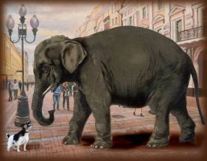 Раскраска слон и моська #1 #498609