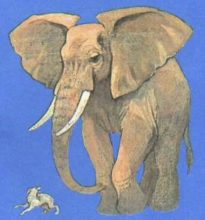 Раскраска слон и моська #3 #498611