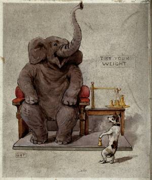 Раскраска слон и моська #23 #498631