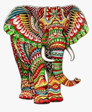 Раскраска слон индийский #4 #498651