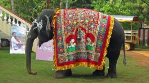 Раскраска слон индийский #27 #498674