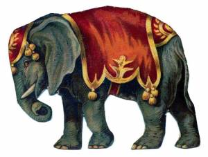 Раскраска слон индийский для детей #33 #498717