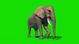 Раскраска слоник зеленый #11 #498767