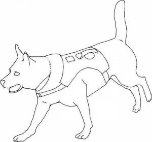 Раскраска служебные собаки подготовительная группа #36 #498897