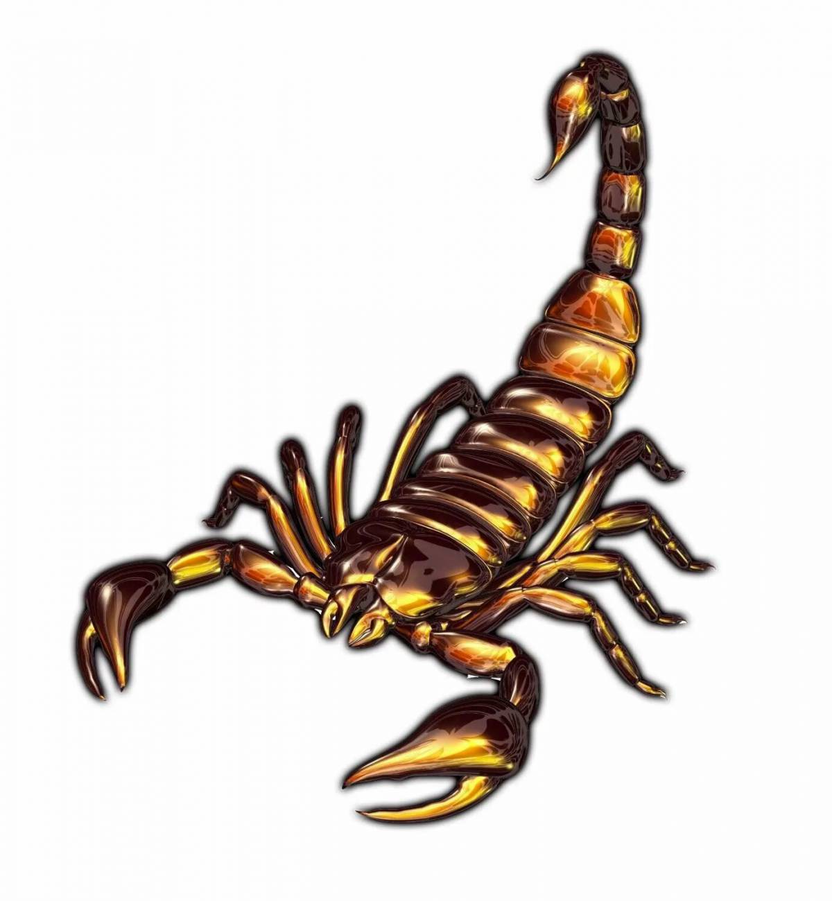 Скорпион для детей #29