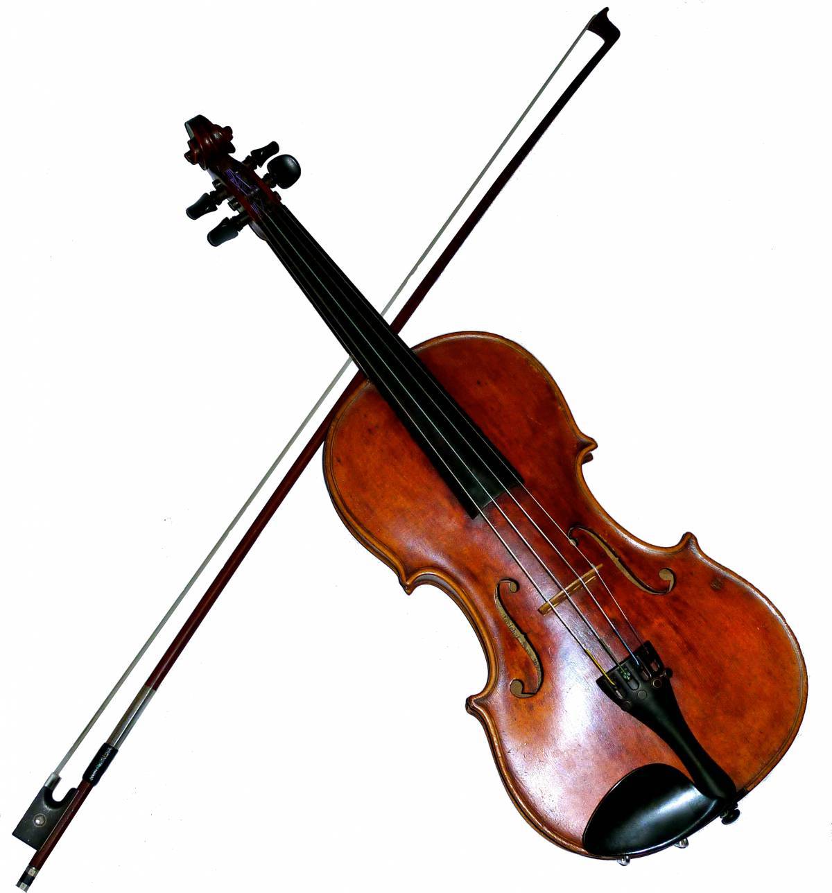 Скрипка для детей #6