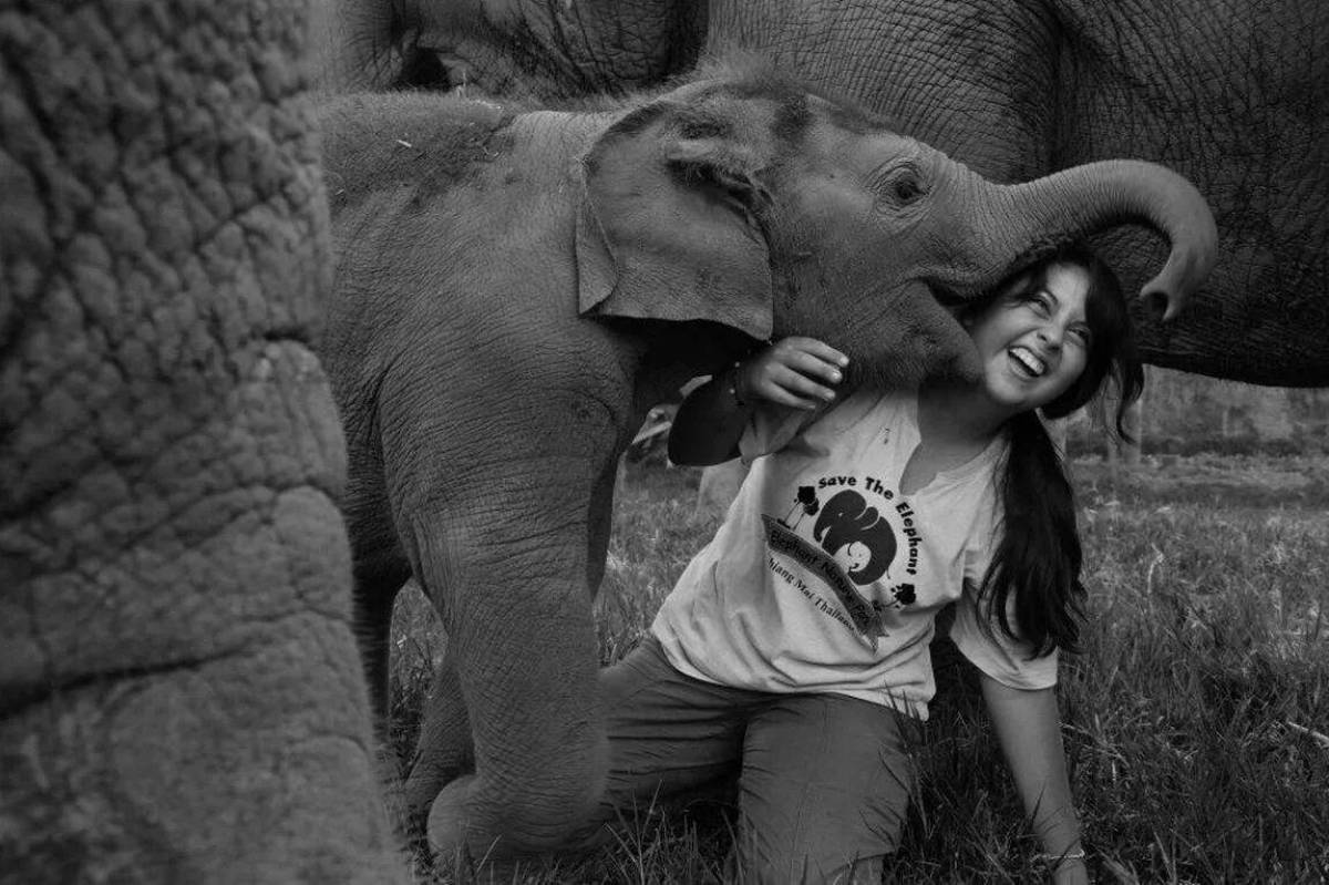 Слон и девочка #12