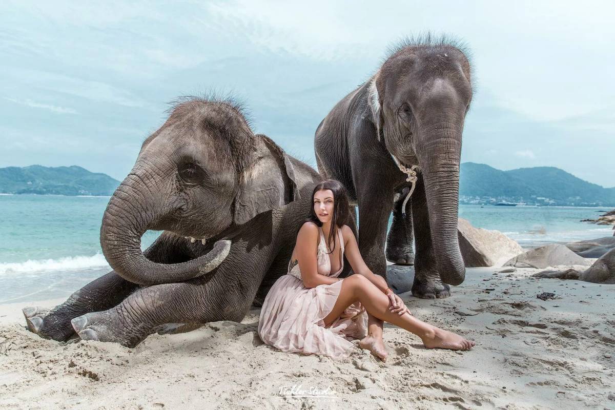 Слон и девочка #15