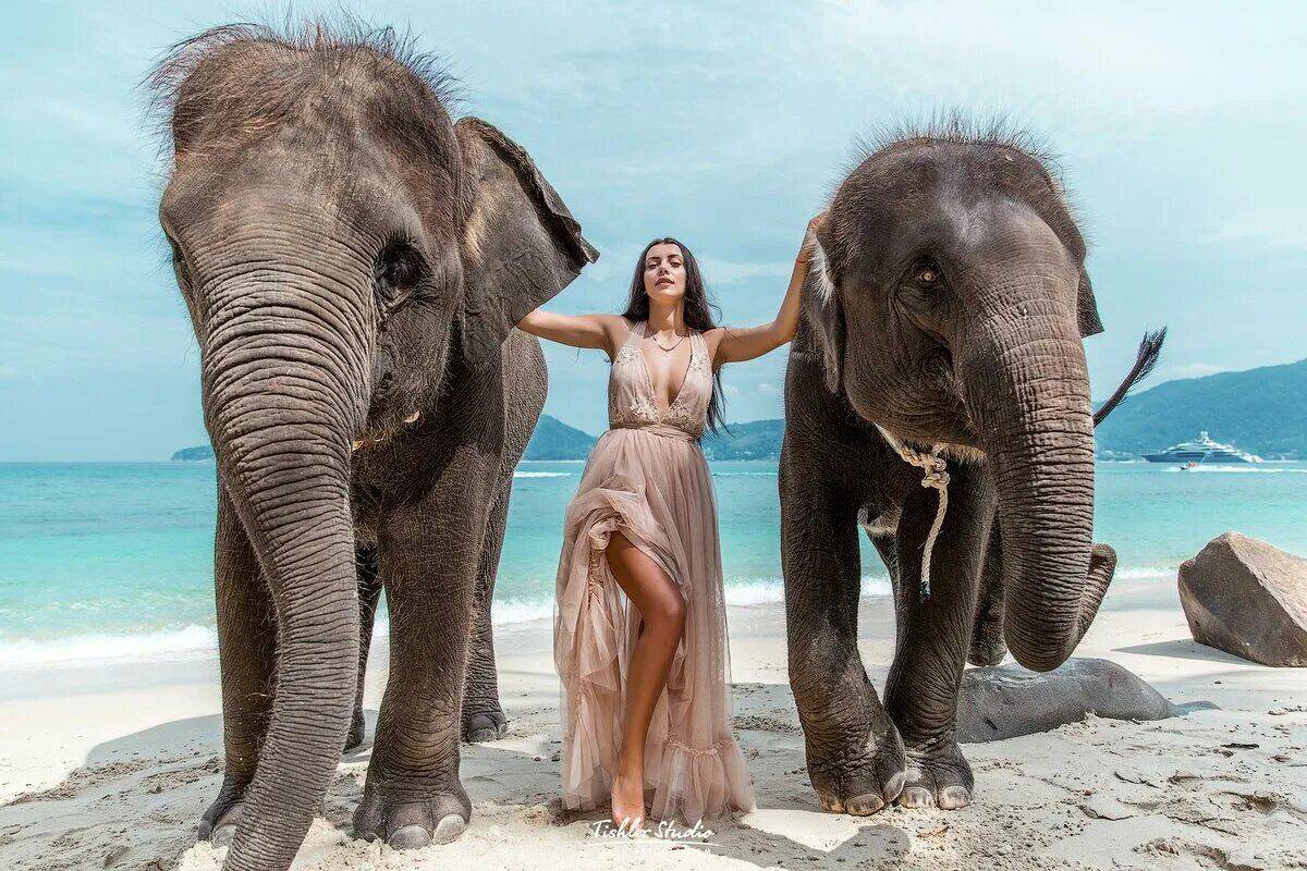 Слон и девочка #17