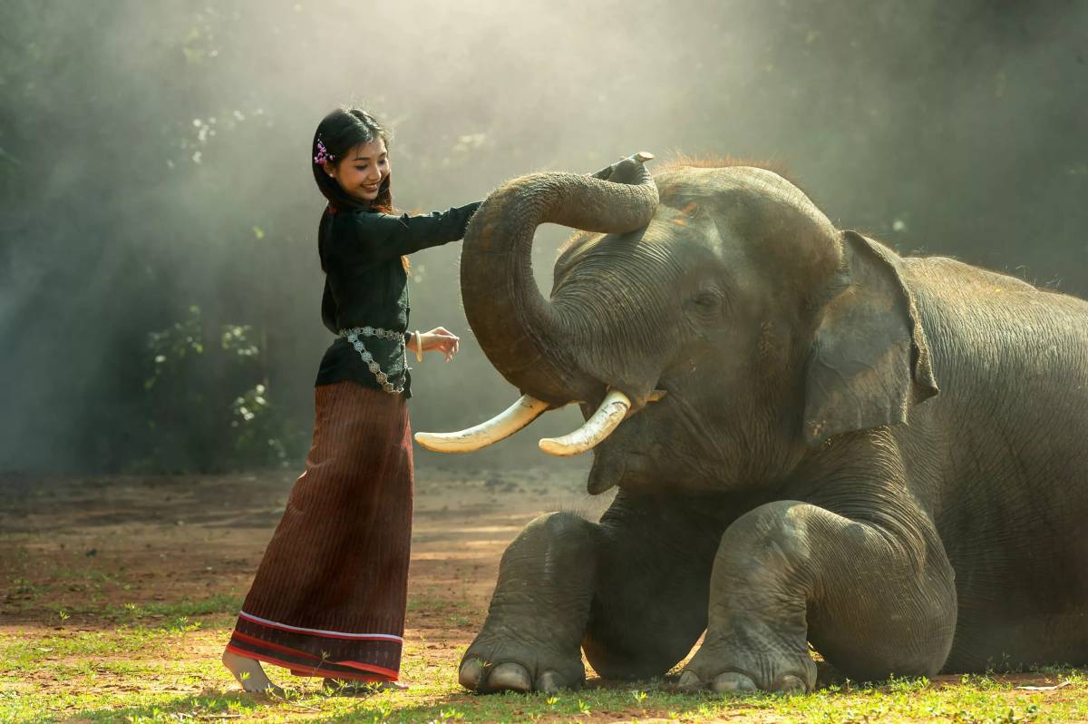 Слон и девочка #19