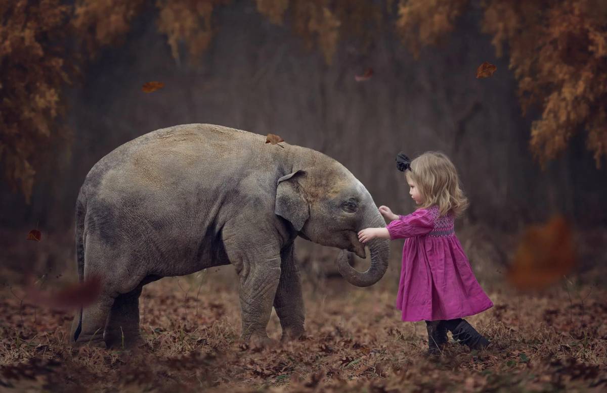 Слон и девочка #23