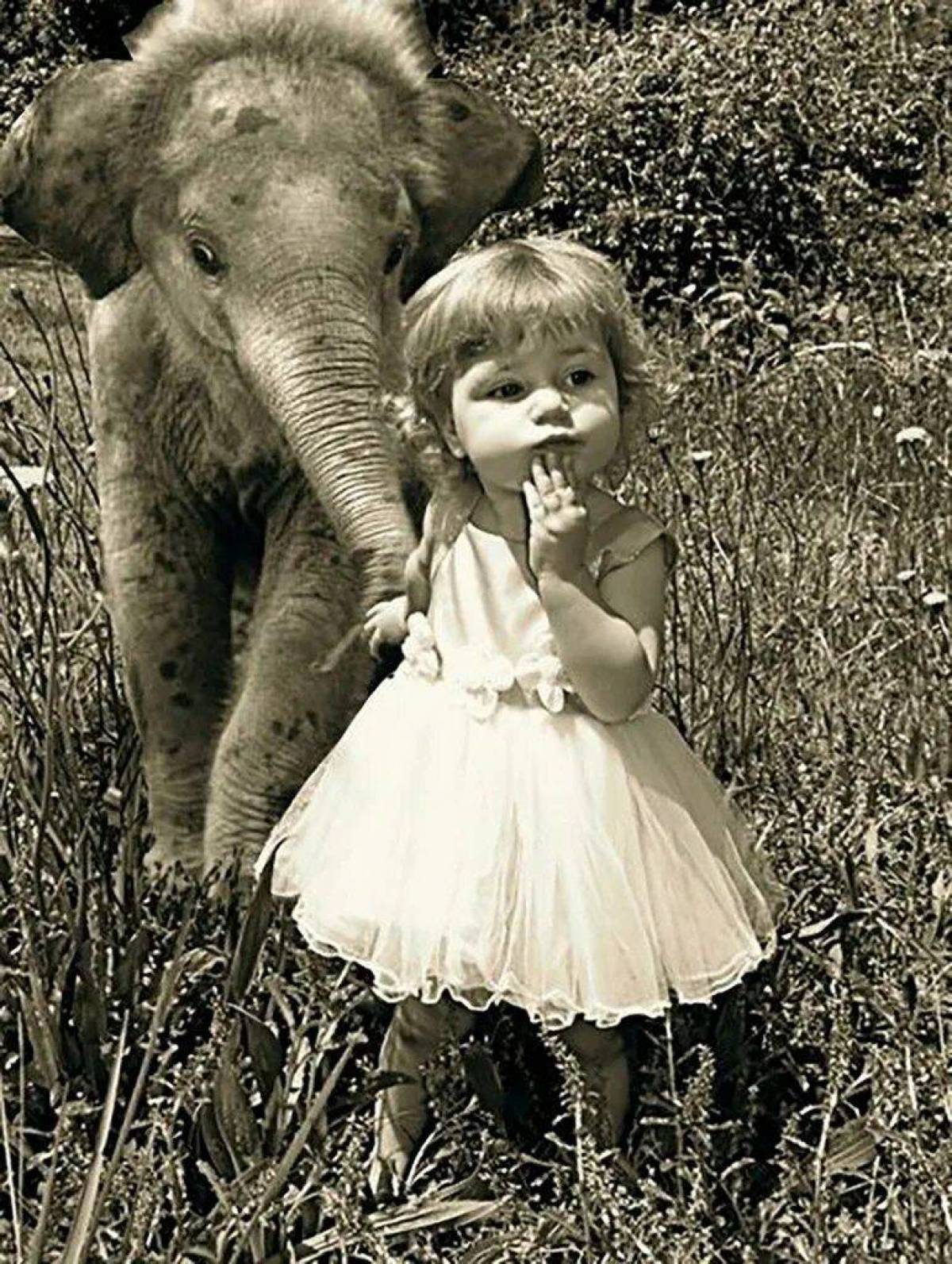 Слон и девочка #26