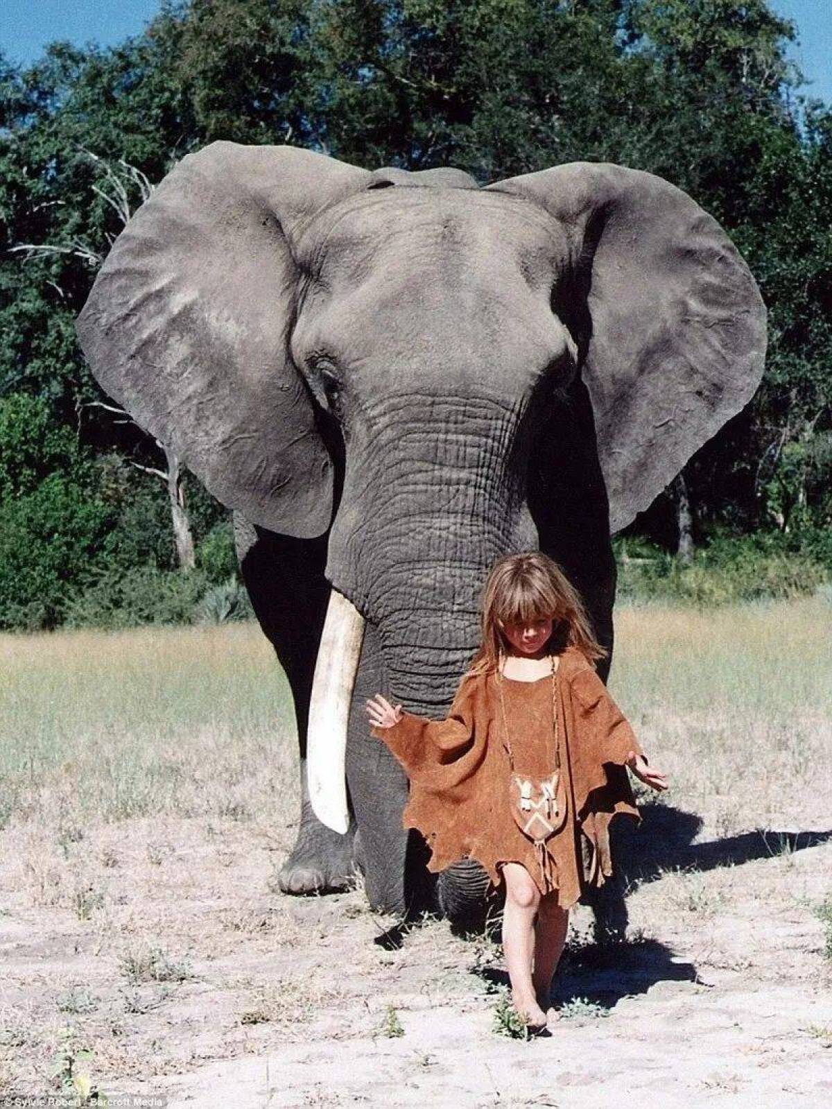 Слон и девочка #27