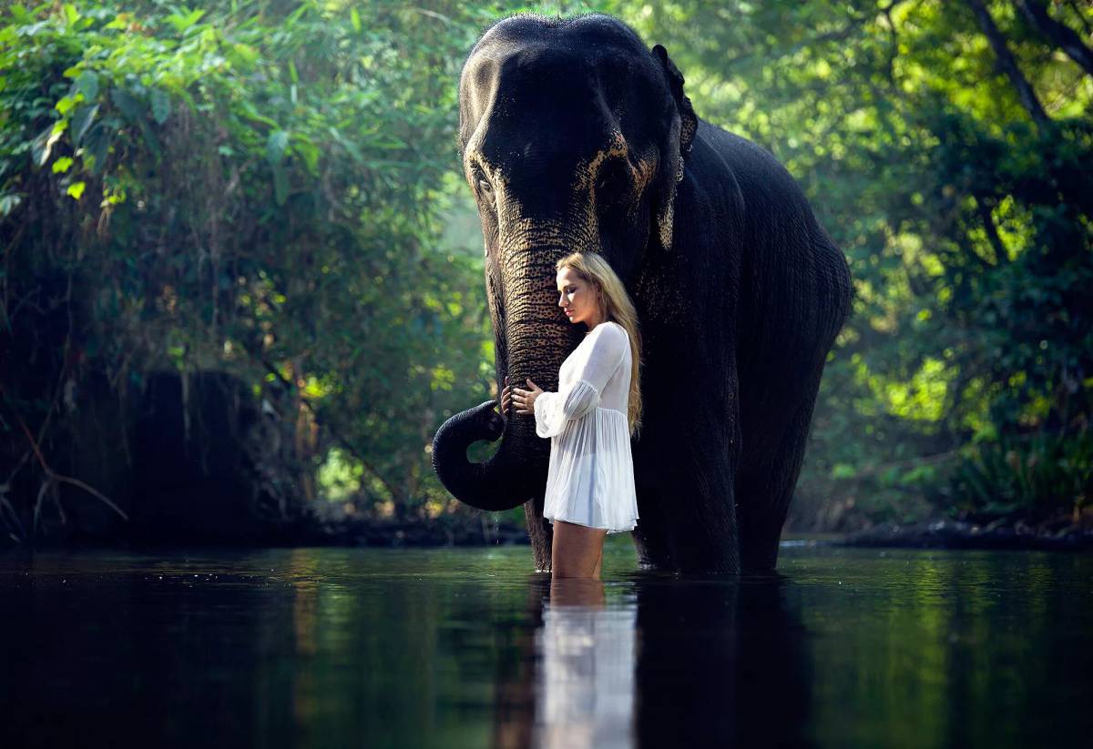Слон и девочка #29