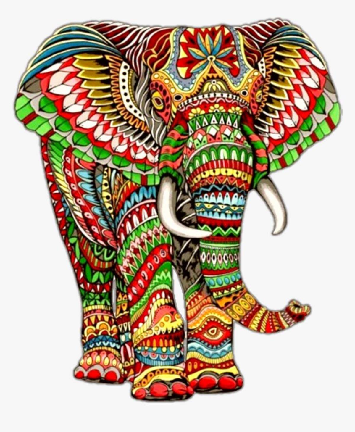 Слон индийский #4