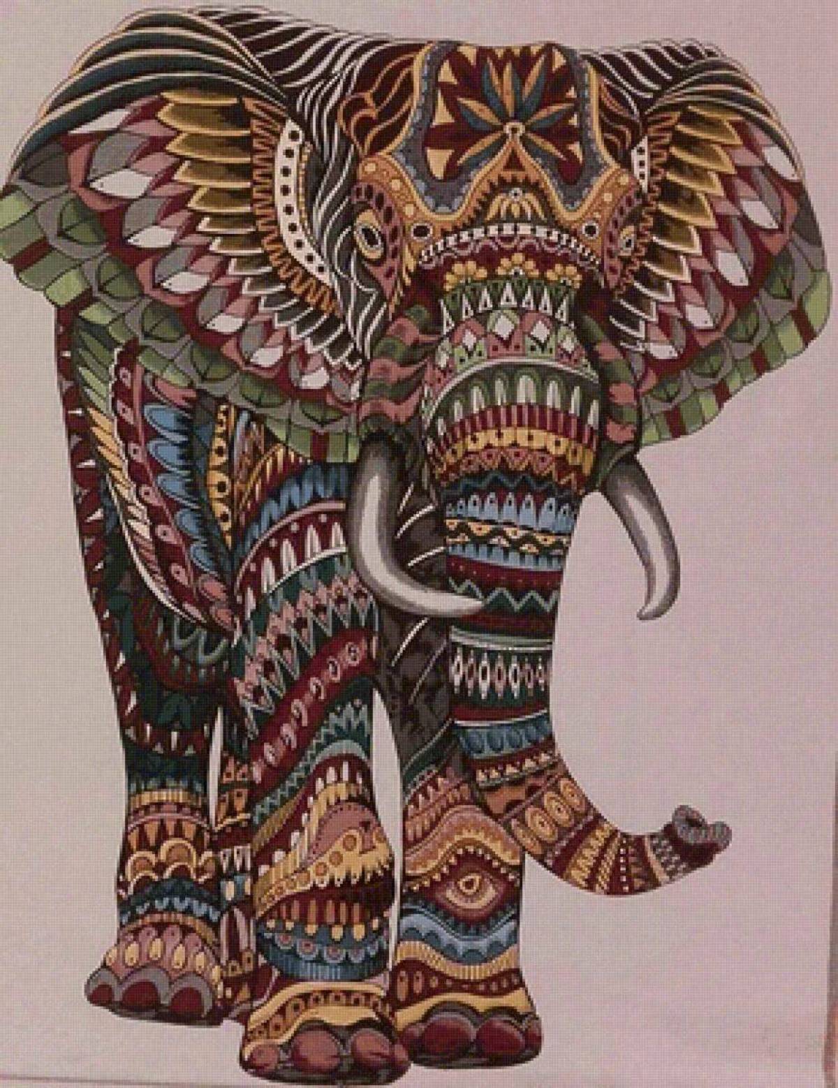Слон индийский #13