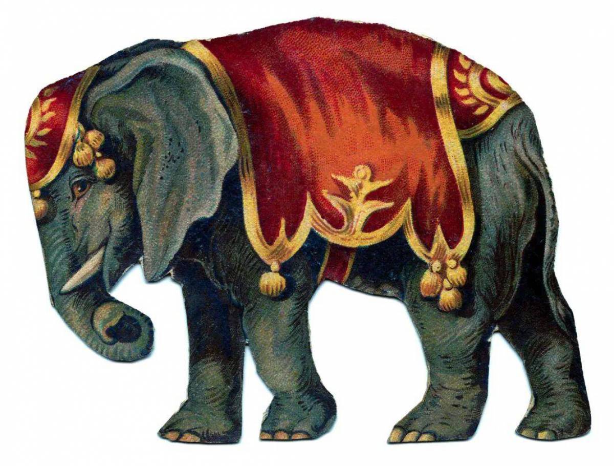 Слон индийский для детей #33