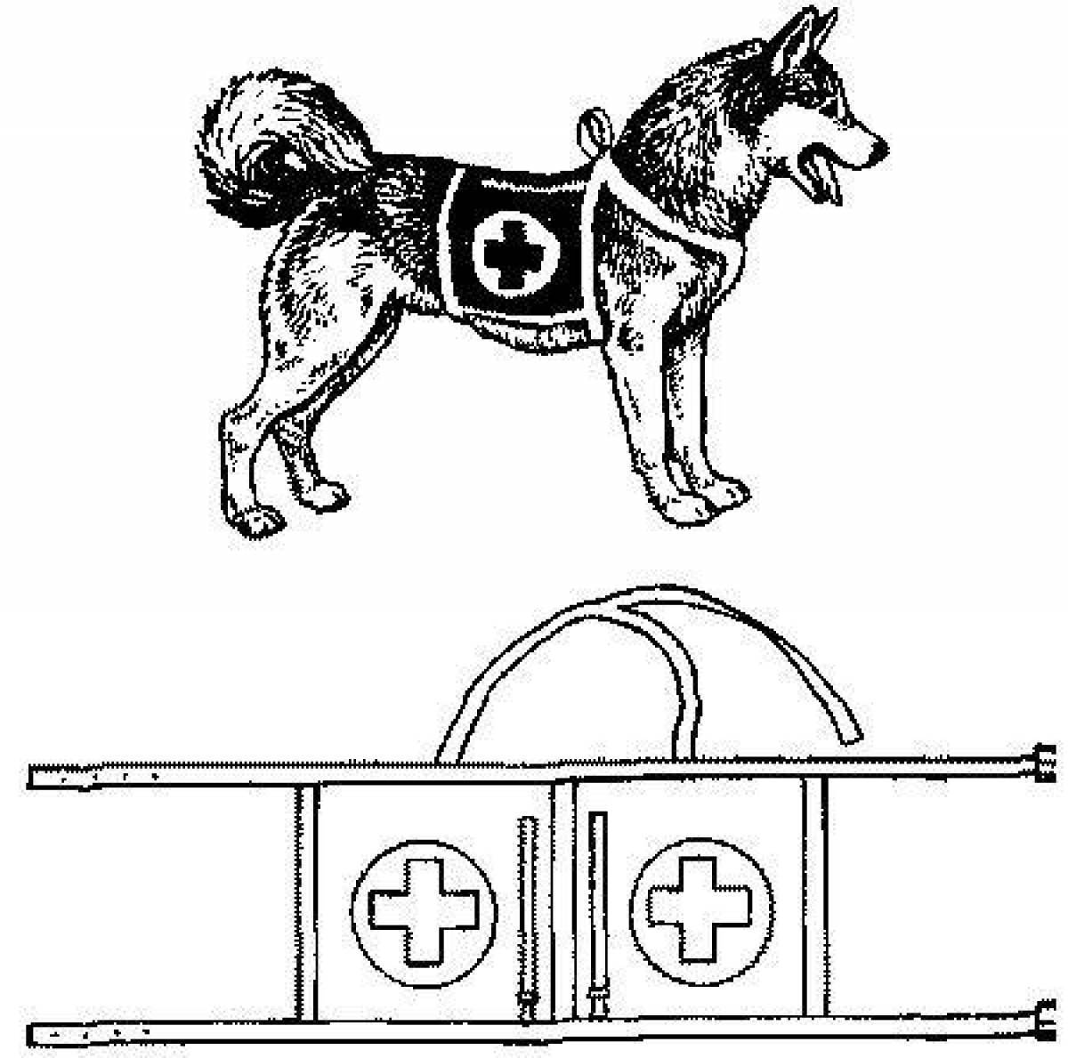 Рисунок санитарной собаки