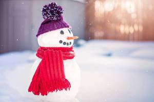 Раскраска снеговики в шапочках и шарфиках #3 #500866