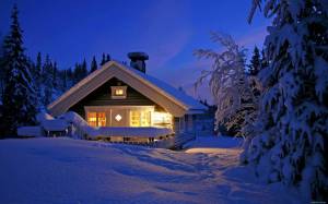 Раскраска снежный домик #8 #501503