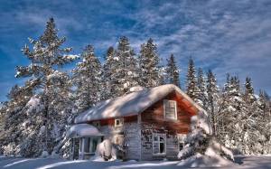 Раскраска снежный домик #17 #501512