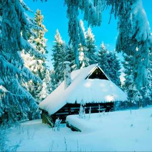 Раскраска снежный домик #21 #501516
