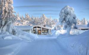 Раскраска снежный домик #27 #501522