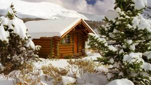 Раскраска снежный домик #33 #501528