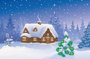 Раскраска снежный домик #35 #501530