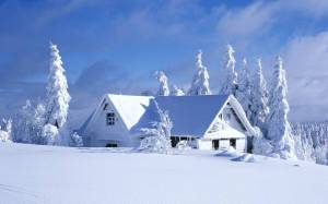 Раскраска снежный домик #36 #501531