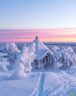 Раскраска снежный домик #37 #501532