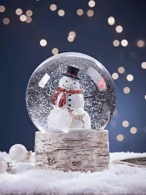 Раскраска снежный шар #2 #501575