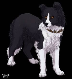 Раскраска собака аниме #15 #501994