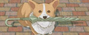 Раскраска собака аниме #31 #502010
