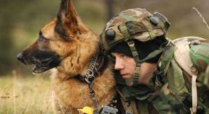 Раскраска собака военная #13 #502068