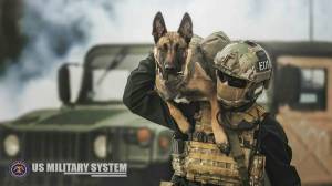 Раскраска собака военная #30 #502085