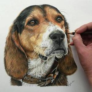 Раскраска собака реалистичная #10 #502669