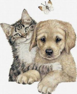Раскраска собаки и кошки для детей #11 #502931