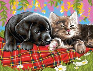 Раскраска собаки и кошки для детей #17 #502937