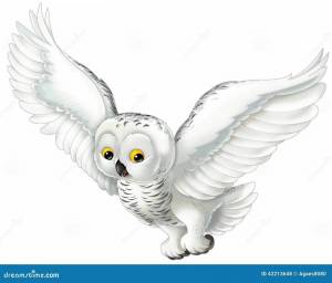 Раскраска сова полярная для детей #38 #503781
