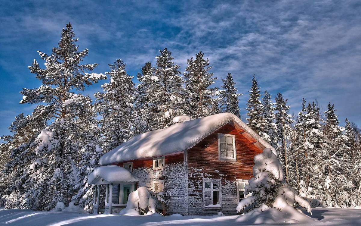 Снежный домик #17