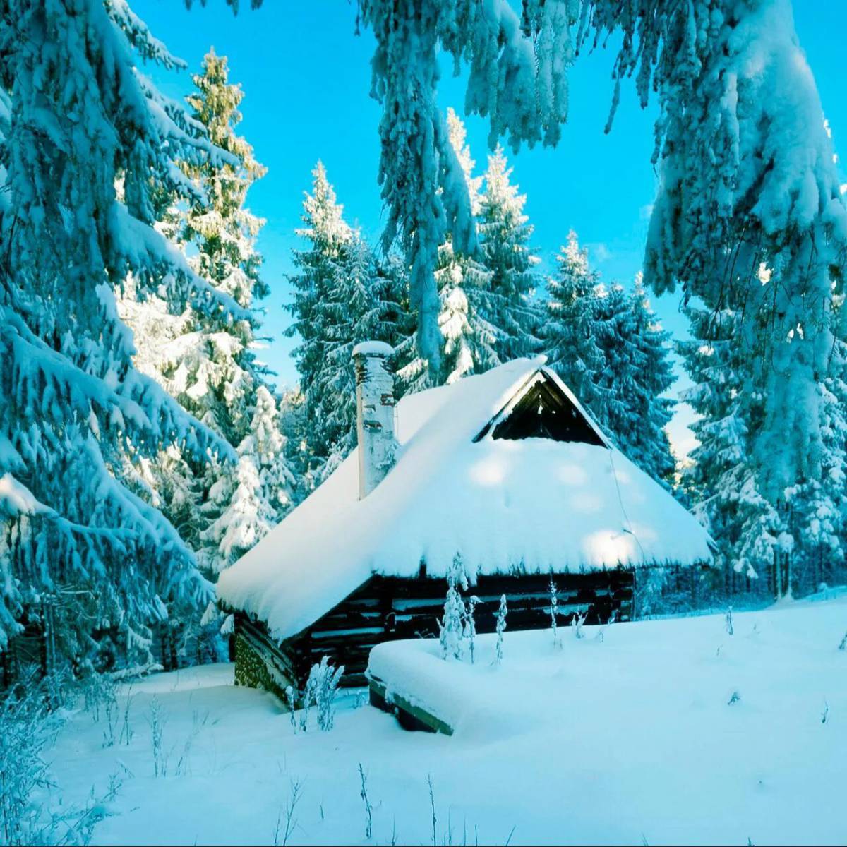 Снежный домик #21